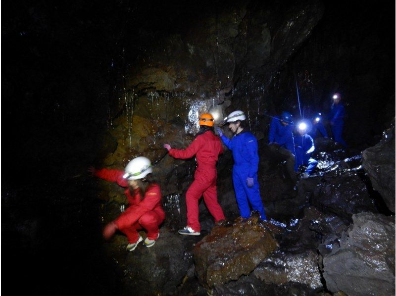 【山梨県・ケイビング】冬でも楽しめる・青木ヶ原樹海　森の散策と洞窟探検ツアーの紹介画像