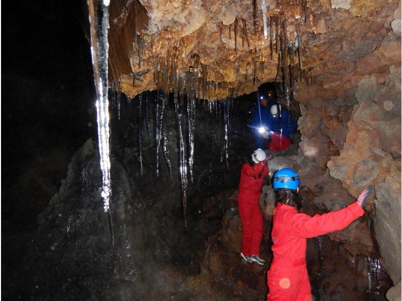 [Yamanashi Prefecture, caving and corona measures are being implemented! ] Journey to explore the truth of Jukai / Mysterious forest, Aokigahara Jukai walk & lava cave explorationの紹介画像