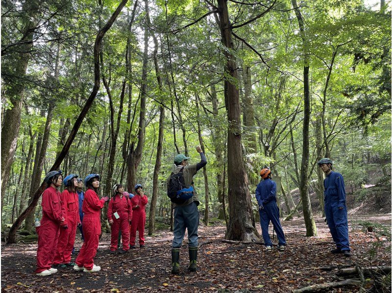 【山梨県・河口湖】富士の森・青木ヶ原樹海散策と洞窟探検ツアーの紹介画像