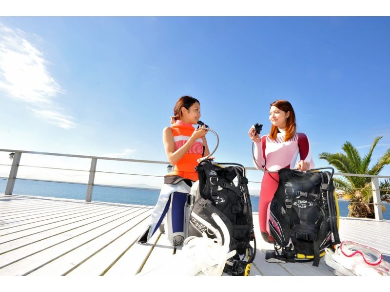 [미우라 반도 &middot; 조가 섬] 바다에서 체험다이빙! 처음이라도 안심 "동경발송영있음"の紹介画像