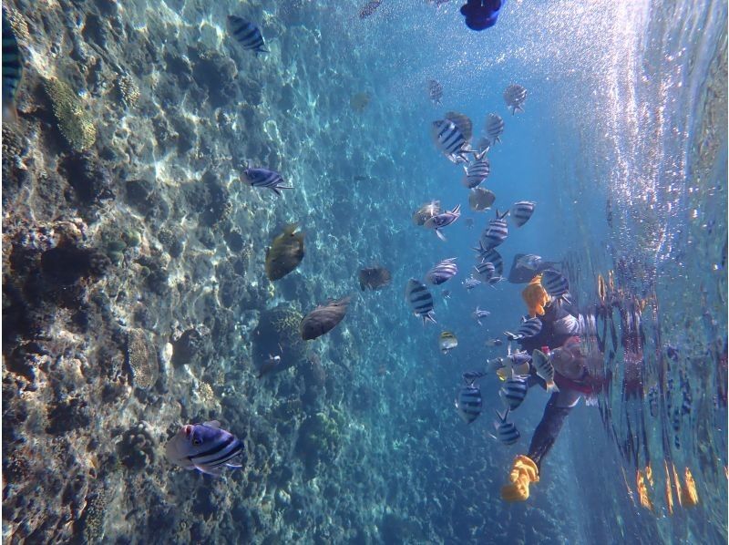 [沖縄·Yomitan】這是一個標準！ ！藍洞浮潛課程の紹介画像