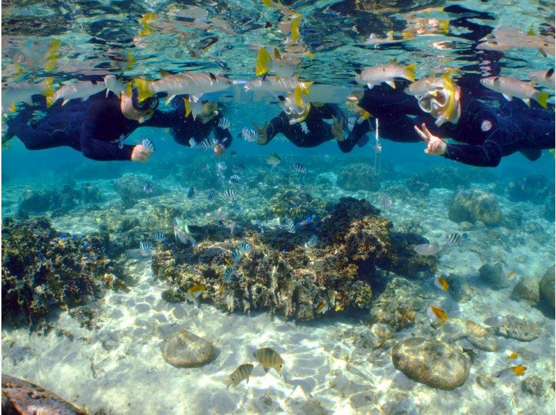 【恩納村 真栄田岬】はじめての熱帯魚＋サンゴの森シュノーケリングの紹介画像