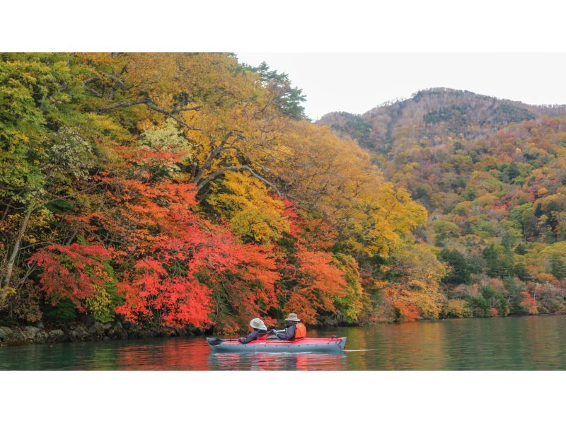 ≪5點鐘出發≫ 獨木舟之旅，在日光中禪寺湖的壯麗景色中享受獨木舟之旅 小團體，預訂，有照片の紹介画像