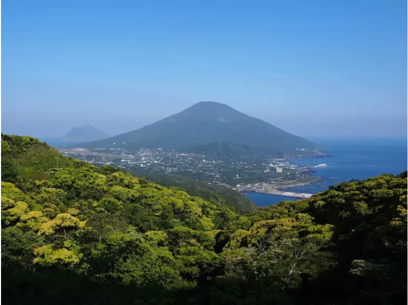 【Hachijojima】 Full-Day Hiking Tour of Hachijo-Fujiの紹介画像