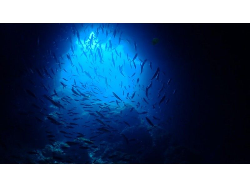 [沖縄·伊拉貝島（Irabe Island）乘風扇潛水，欣賞伊拉貝島（Irabe Island）地形的美麗海景！ （最多3次潛水）C卡必答の紹介画像