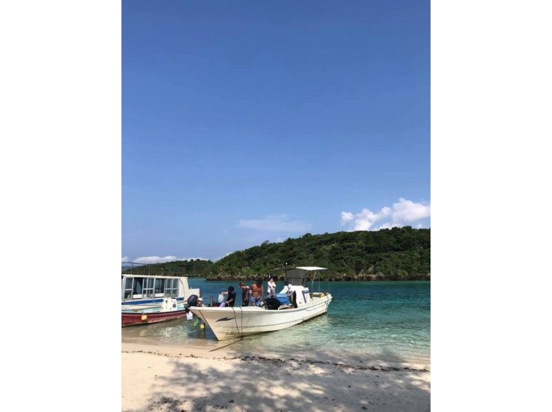[Okinawa ・ Ishigaki island] Islander guides guide! 2 boat fans Diving ♪ With pick-up & lunchの紹介画像