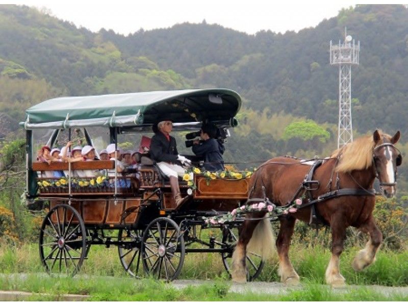 福岡県・福津市】ふくつ古墳馬車を独占して楽しめるプレミアム古墳