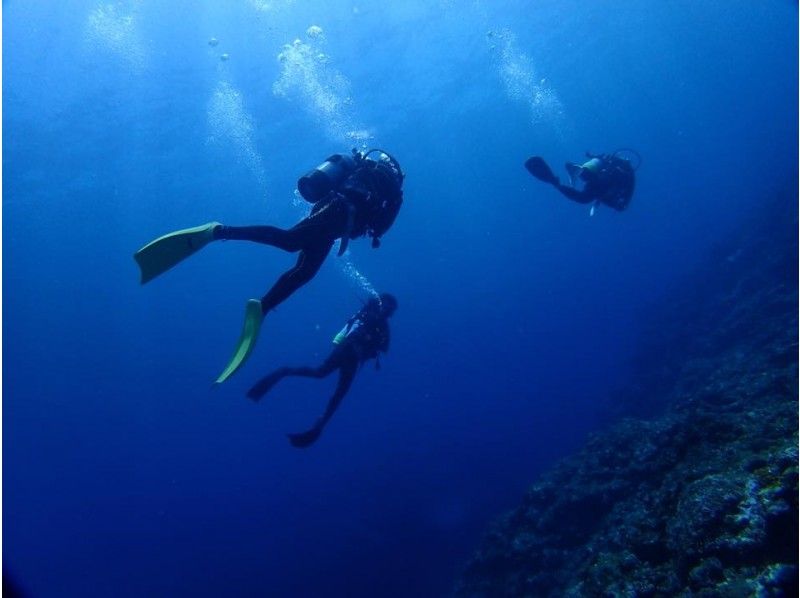 [冲绳-石垣岛]为空白潜水员刷新课程！ 2名船迷深潜♪提货和午餐の紹介画像