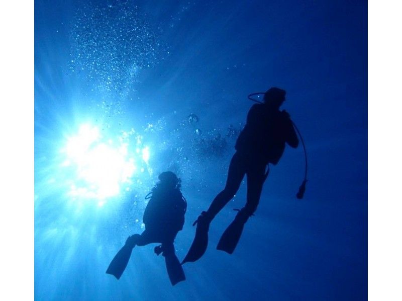 [冲绳-石垣岛]为空白潜水员刷新课程！ 2名船迷深潜♪提货和午餐の紹介画像