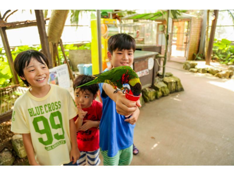 名護のトロピカル王国OKINAWAフルーツらんどってどんなところ？