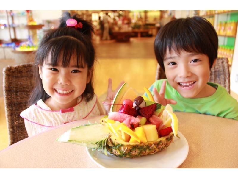 名護のトロピカル王国OKINAWAフルーツらんどってどんなところ？