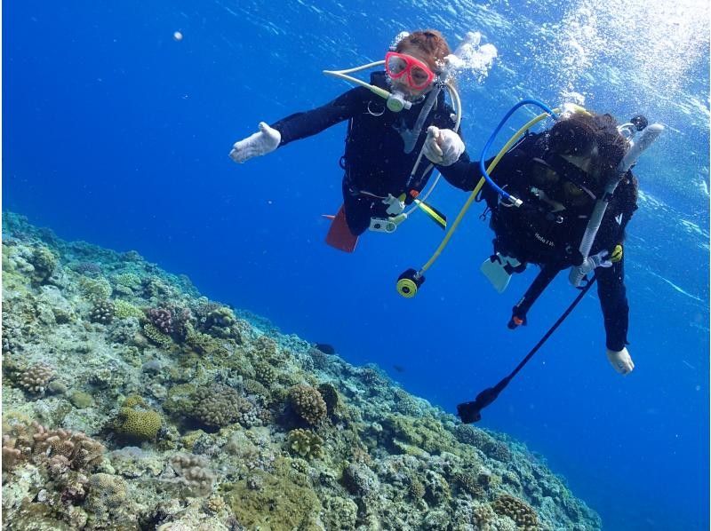 Boat ride and diving experience [Boat, charter, tour photo gift]の紹介画像