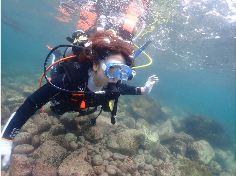 【静岡・伊豆】お写真プレゼント！水中デジカメ無料レンタルあり！伊豆の海で体験ダイビング＜初心者・未経験者向け＞の紹介画像