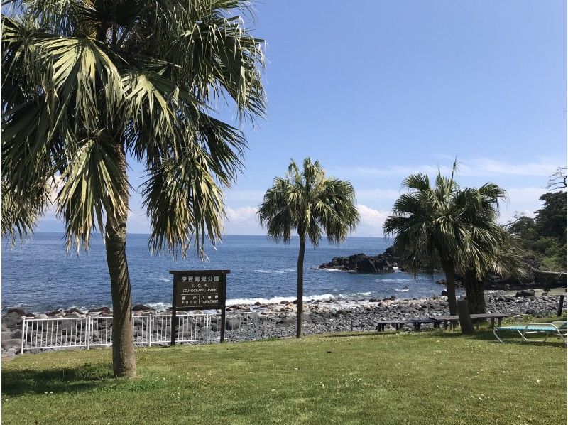 Izu Marine Park Diving spot