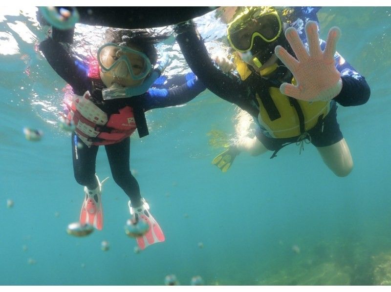 [Shizuoka ・ Izu] Experience in the sea of Izu Snorkelingの紹介画像