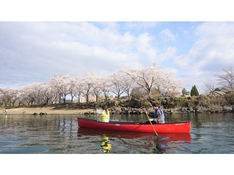 【山梨縣河口湖】春天百花齊放，不會被淋濕的河口湖加拿大體驗，120分鐘的路線，湖上獨木舟之旅，留下美好回憶的旅程の紹介画像