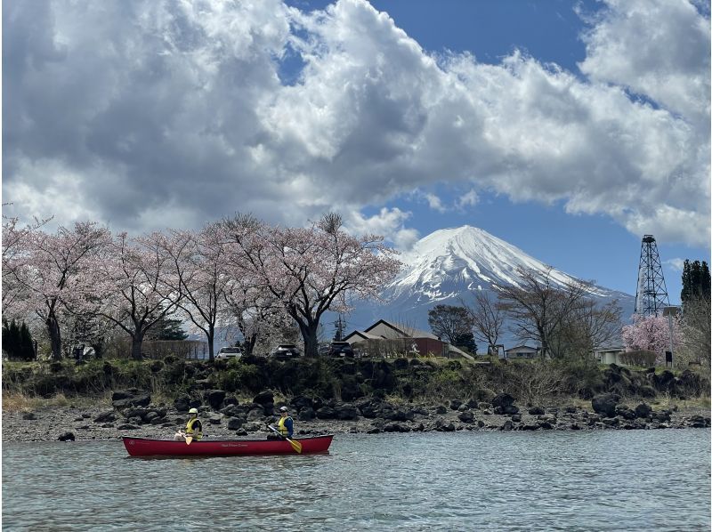 [Yamanashi Prefecture, Lake Kawaguchi] Spring in full bloom, a Canadian experience on Lake Kawaguchi that won't get wet, a 120-minute course, a canoe ride on the lake and a trip to make memoriesの紹介画像