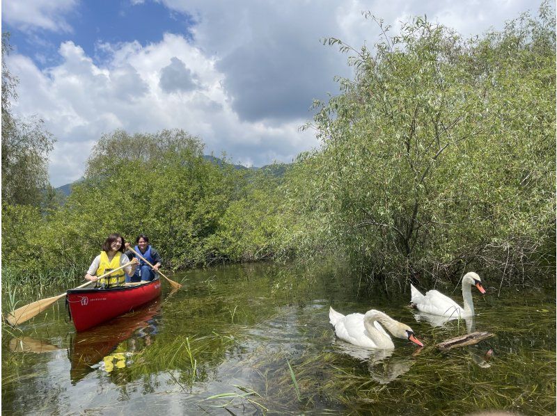 [Yamanashi Prefecture, Lake Kawaguchi] Lake Kawaguchi Canadian Experience - 120-minute course - Canoeing on the lake and a trip to make memoriesの紹介画像