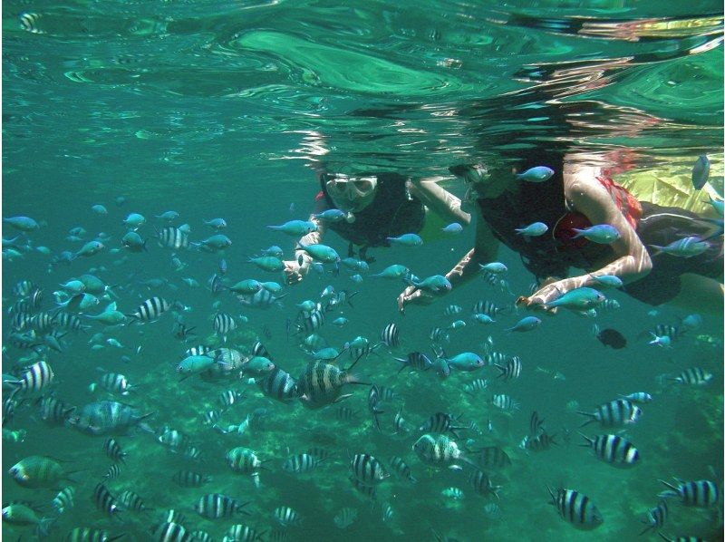 【沖縄 恩納村】青の洞窟シュノーケル・恩納村シーウォークお得なセットプラン　Goproカメラ・タオルレンタル付の紹介画像