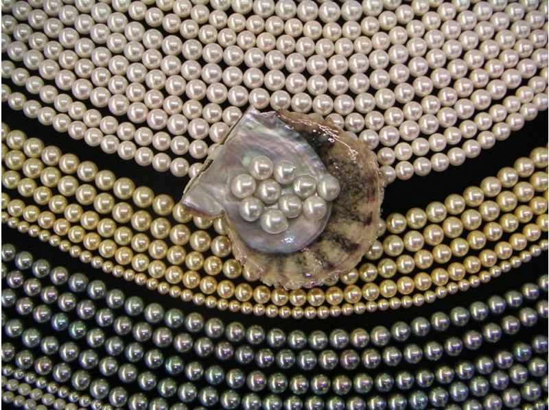 [東京·上野]讓我們從Akoya貝類中取出珍珠！珍珠珍珠體驗＜有案例＞の紹介画像