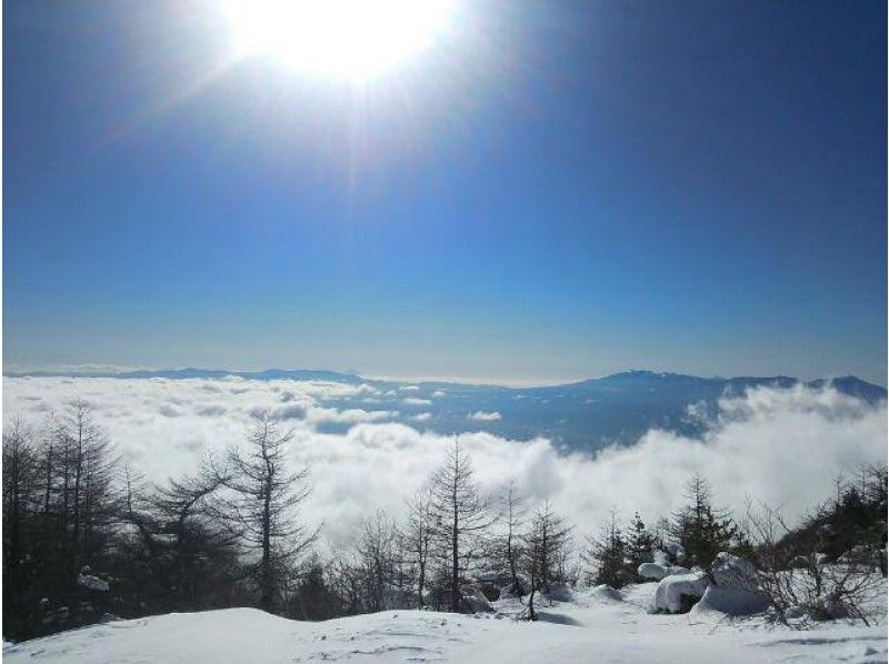 [长野/轻井泽]雪鞋“雪林探索雪鞋之旅”与雪茶时间！推荐给首次使用的用户の紹介画像