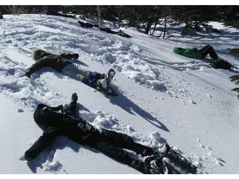 【長野・軽井沢】スノーシュー「雪の森探検スノーシューツアー」雪上ティータイム付き！初めての方おすすめの紹介画像