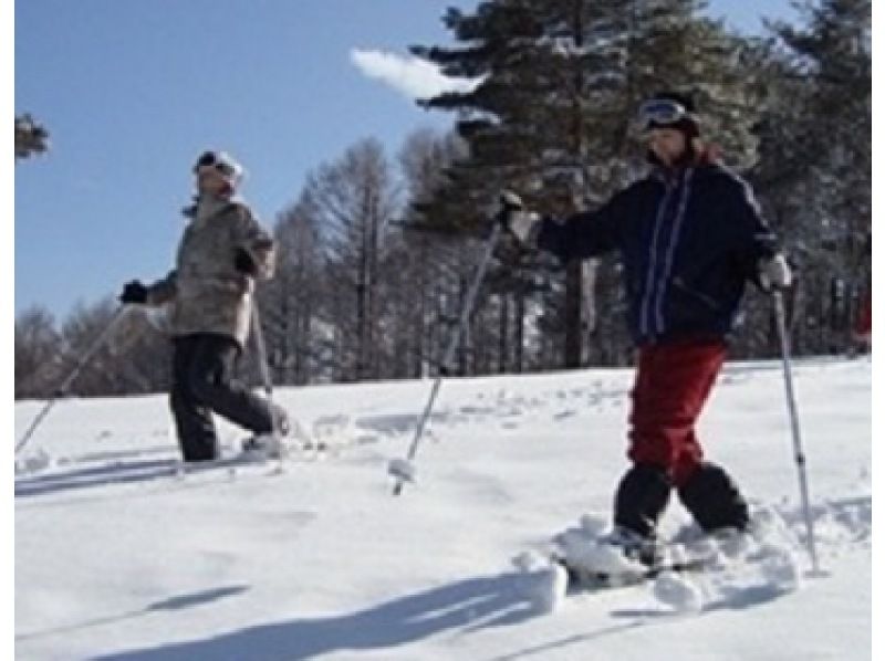 【長野・軽井沢】スノーシュー「雪の森探検スノーシューツアー」雪上ティータイム付き！初めての方おすすめの紹介画像