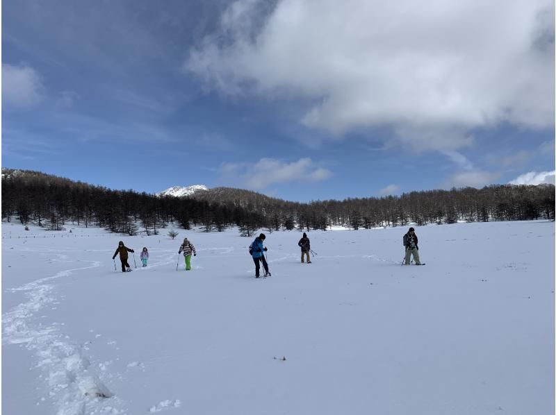 [長野/輕井澤]雪鞋「雪林探索雪鞋之旅」與雪茶時間！推薦給首次使用的用戶の紹介画像