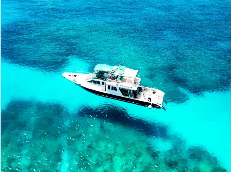 ★ Beginner & Blank Diver Support Plan! ! ★ Kerama Boat Fan 2 Dive [From the main island, equipment free, all day]の紹介画像