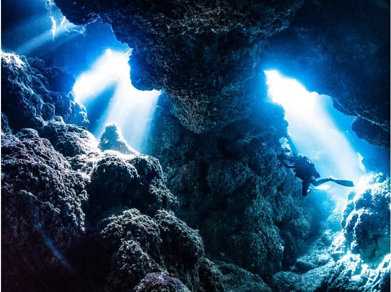 ★ Beginner & Blank Diver Support Plan! ! ★ Kerama Boat Fan 2 Dive [From the main island, equipment free, all day]の紹介画像