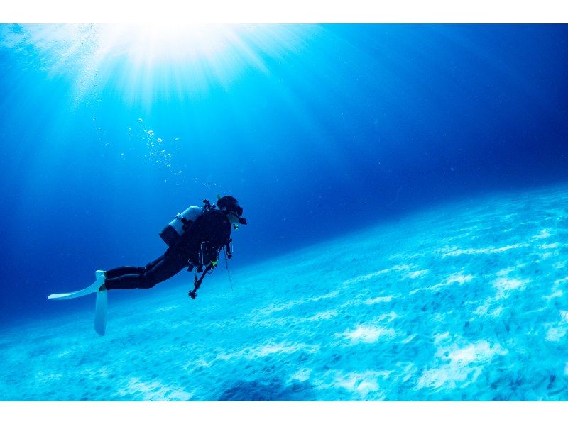 ★ Beginner & Blank Diver Support Plan! ! ★ Kerama Boat Fan 2 Dive [From the main island, equipment free, all day]の紹介画像
