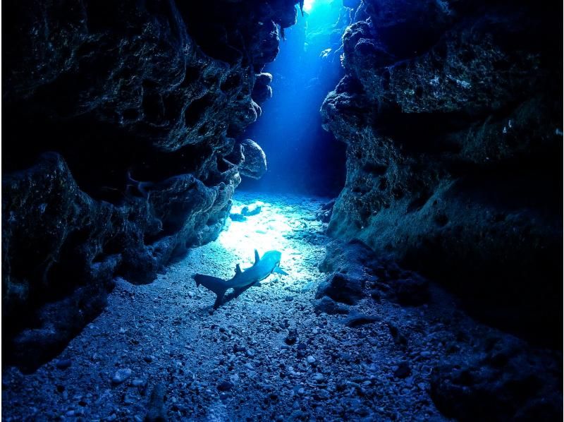 ★ Beginner & Blank Diver Support Plan! ! ★ Kerama Boat Fan 2 Dive [From the main island, equipment free, all day]の紹介画像