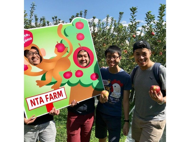 【長野・飯山】信州いいやま　英語ガイドが教えるりんご狩り体験の紹介画像