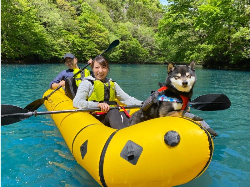 SALE! [Shima/Kusatsu] Same-day OK! Half-day packraft canoeing experience on the blue Lake Shima *Going out with your dogの紹介画像