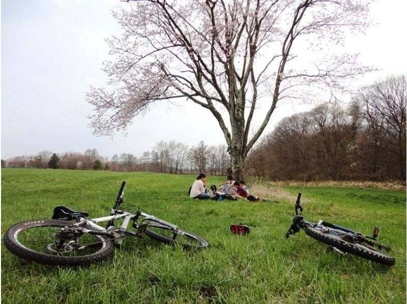 [Nagano Prefecture Asama] run through the ~ plateau in the mountain bike - MTB cycling tour [MTB]の紹介画像