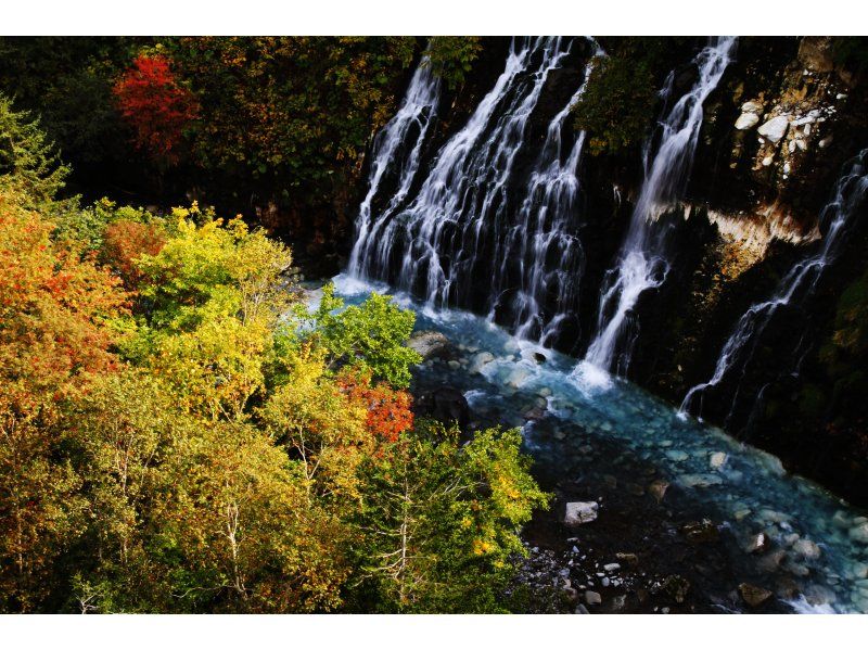 [北海道·美瑛·富良野]可以安排！可以自由设定日程的美瑛·富良野观光札幌从/到）の紹介画像