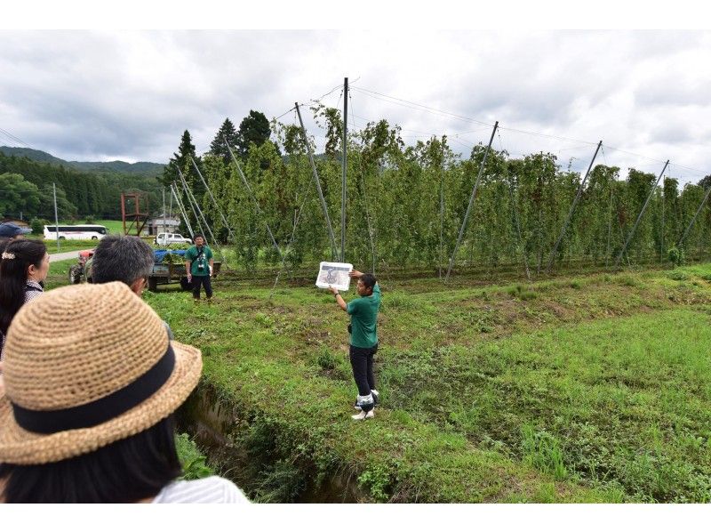 【岩手県・遠野市】遠野ビアツーリズム/ビールの里・遠野満喫ツアー（ジャンボタクシ－８名定員）の紹介画像