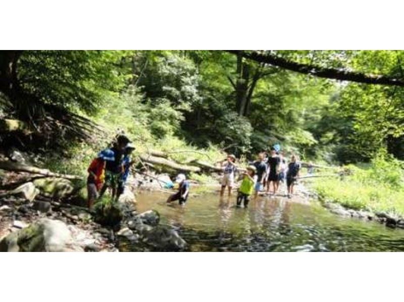 [Nagano Prefecture Asama] - emergency waterfall to ~ River trekking [trekking] of unexplored regionの紹介画像