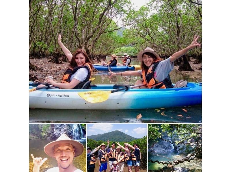 【鹿児島・奄美大島】【世界自然遺産・奄美・ウミガメと泳ぐシュノーケリング＆マングローブカヌーツアー・遭遇率100％・】Gopro動画大好評！の紹介画像