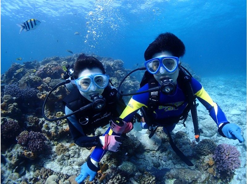 [오키나와· 민나 섬 · 세 소코 섬] 투명도 발군의 깨끗한 바다에서 체험다이빙(보토다이부 · 1 회 코스)の紹介画像