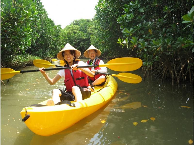 [Okinawa Kunigami-gun] Gesashi River mangrove canoe half-day courseの紹介画像
