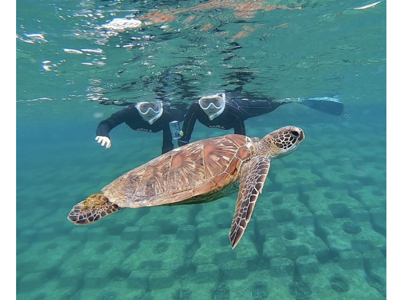 [Miyakojima] ☆ Ukito sea turtle discovery tour ☆ Let's swim with sea turtles at a secret scenic spot!の紹介画像