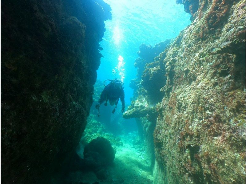 SALE! [Love Island Kouri Island/Nakijin] Boat Fun Diving (2 Dives) Photo and Video Shooting as a Giftの紹介画像