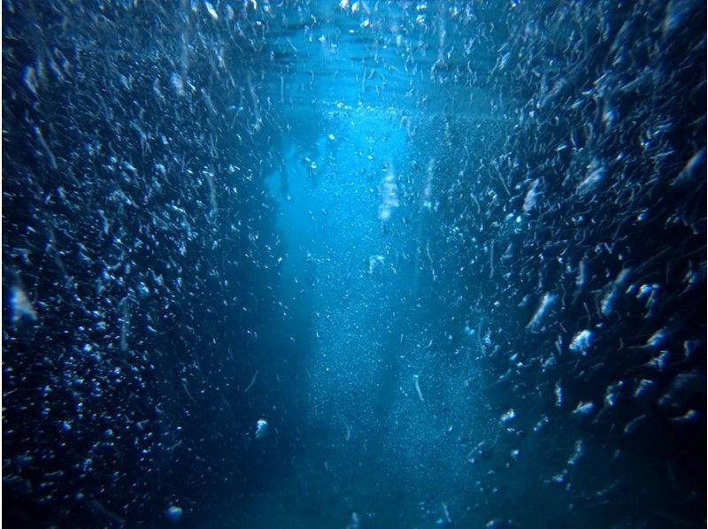 [沖縄繩恩納]藍洞浮潛之旅★帶照片數據！轉移福利★の紹介画像