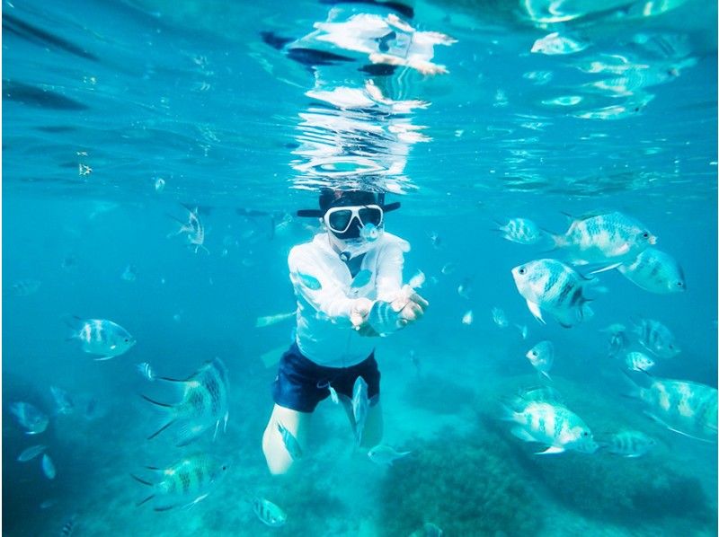 [Okinawa Onna] Blue cave snorkel tour ★ With photo data! Transfer benefits ★の紹介画像