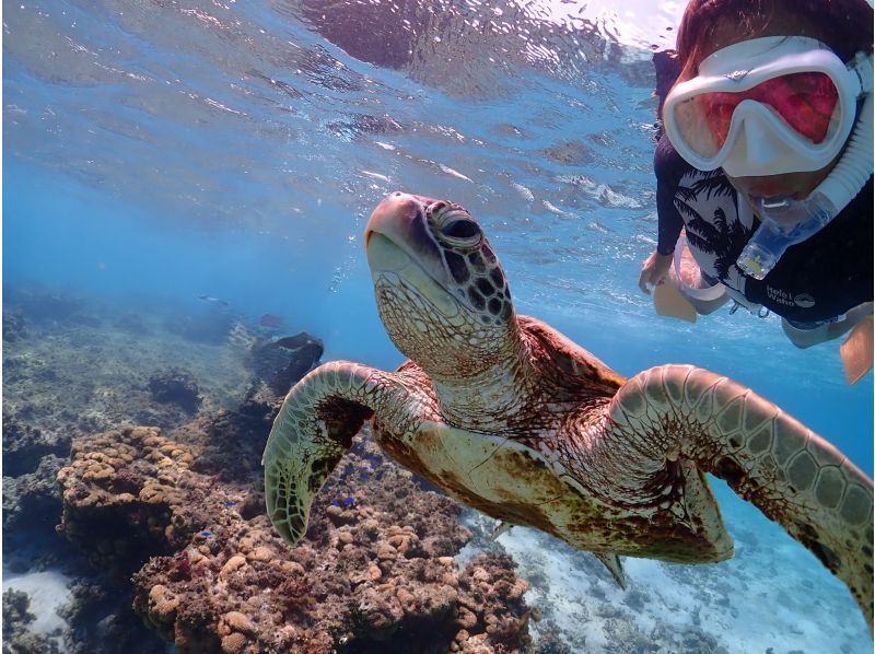 【沖縄・宮古島】1組貸切のプライベート〈シュノーケリングツアー〉  ツアー写真・動画データプレゼントの紹介画像