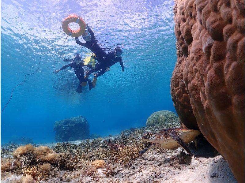 【沖縄・宮古島】1組貸切のプライベート〈ウミガメ シュノーケリングツアー〉  ツアー写真・動画データプレゼントの紹介画像