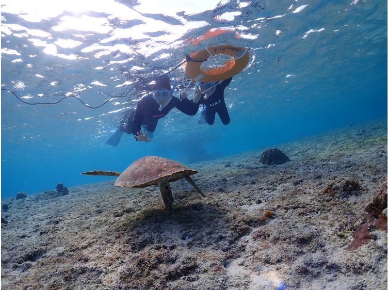 【沖縄・宮古島】1組貸切のプライベート〈シュノーケリングツアー〉  ツアー写真・動画データプレゼントの紹介画像