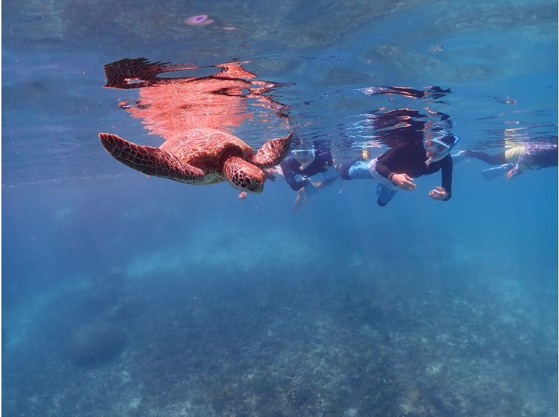 【沖縄・宮古島】1組貸切のプライベート〈シュノーケリングツアー〉  ツアー写真・動画データプレゼントの紹介画像
