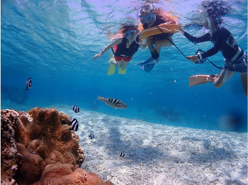 【沖縄・宮古島】1組貸切のプライベート〈シュノーケリングツアー〉  ツアー写真・動画データプレゼントの紹介画像